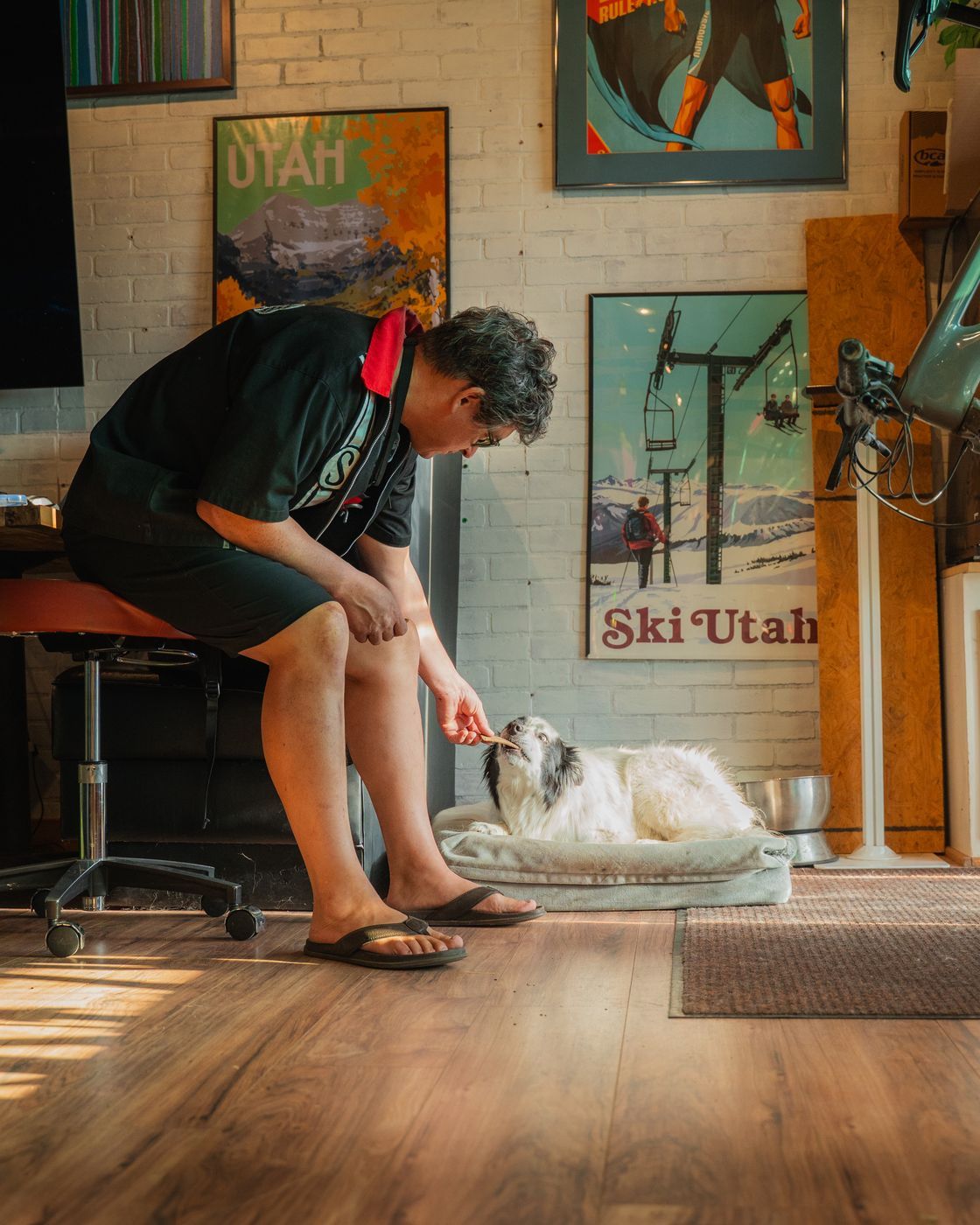 Spencer handing the shop dog a treat in the lounge